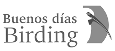 Buenos Dias Birding
